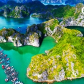 7 Best Things to Do on Cat Ba Island for Travellers in 2025