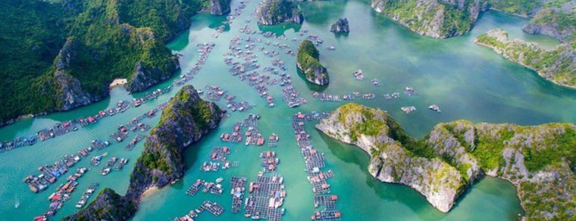 Cat Ba vs Ha Long Bay: Which One Should You Go in 2025?