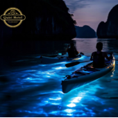 Discover Bioluminescent Waters with the Cat Ba Plankton Tour
