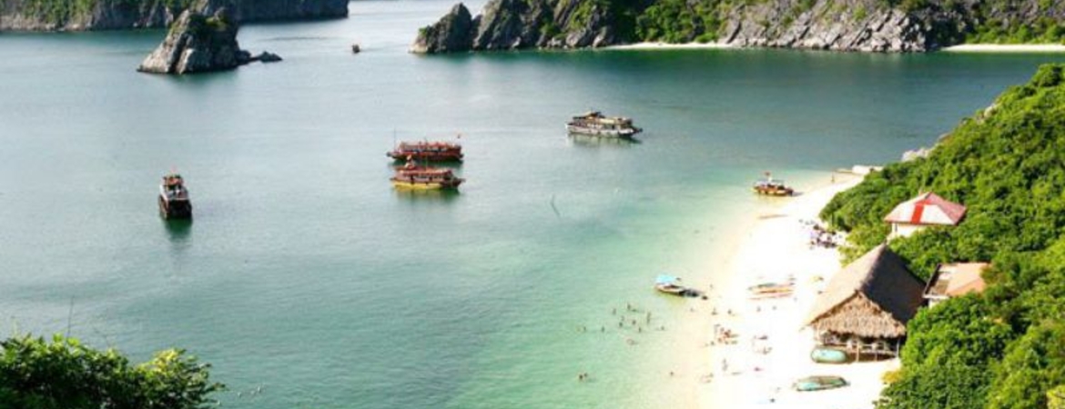 Travel to Monkey Island Cat Ba: Guide for Solo Travelers