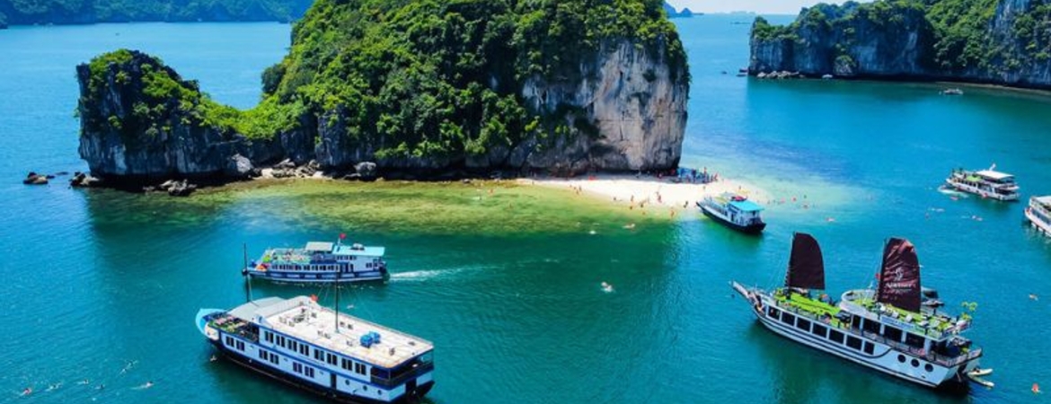 Lan Ha Bay Cruise: Compare Day Trips and Overnight Tours