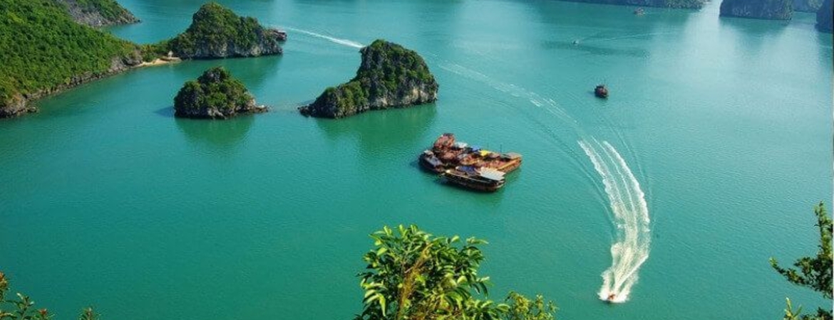 What to Do in Cat Ba for Christmas: Island Style Holiday