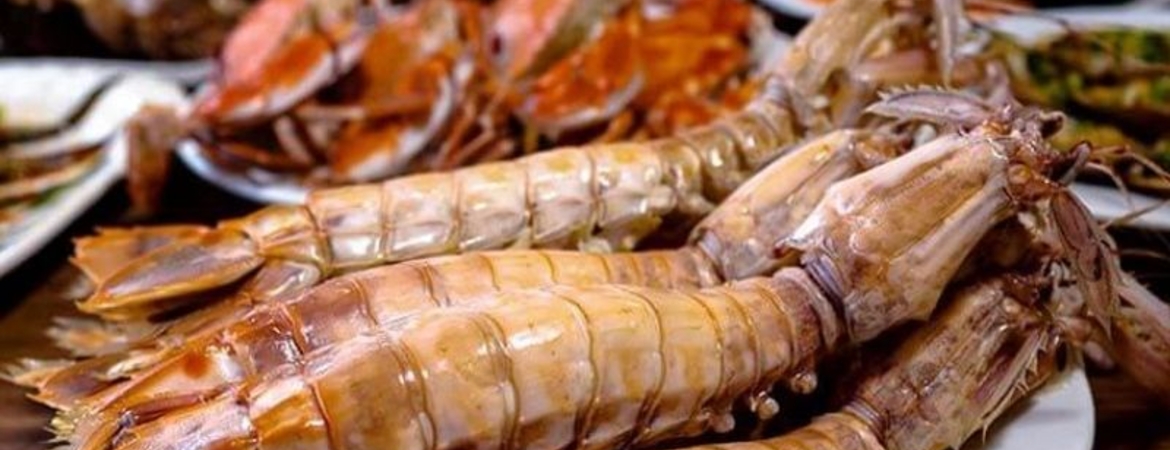 Cat Ba Food and Drink Guide: Where to Eat & Chill 2026