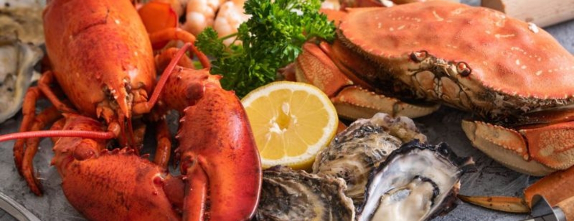 Best Seafood Restaurant in Cat Ba for Couples & Groups