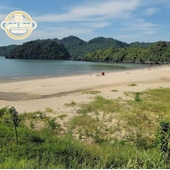 Tung Thu Beach vs Cat Co Beach: Which Beach Is Better In Cat Ba