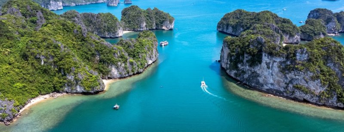 Cat Ba Hotel During Tet: Smart Booking Guide for 2026