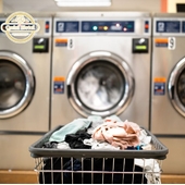 Hotel With Laundry Service in Cat Ba for Easy Travel