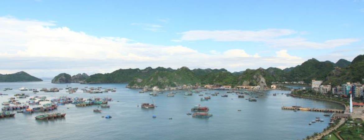 Stay Near the Beach in Cat Ba: Best Beach Hotels Guide