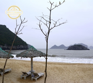 Stay Near the Beach in Cat Ba: Best Beach Hotels Guide