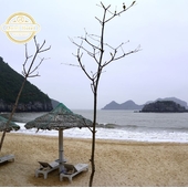 Stay Near the Beach in Cat Ba: Best Beach Hotels Guide