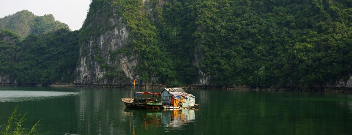 Quiri Hillside Cat Ba: Homestay Tren Doi Voi Bungalow Va Mix Dorm