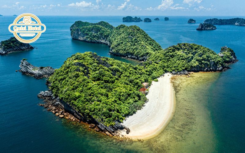 Monkey Island Cat Ba