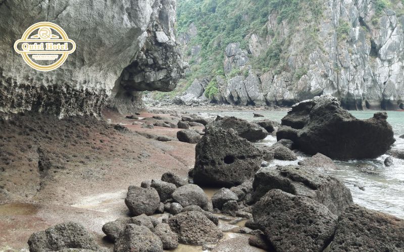 What Makes Dau Be Island Special