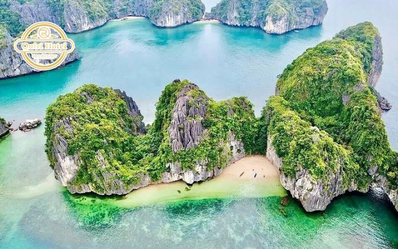 Overview of Cat Ba Weather in December