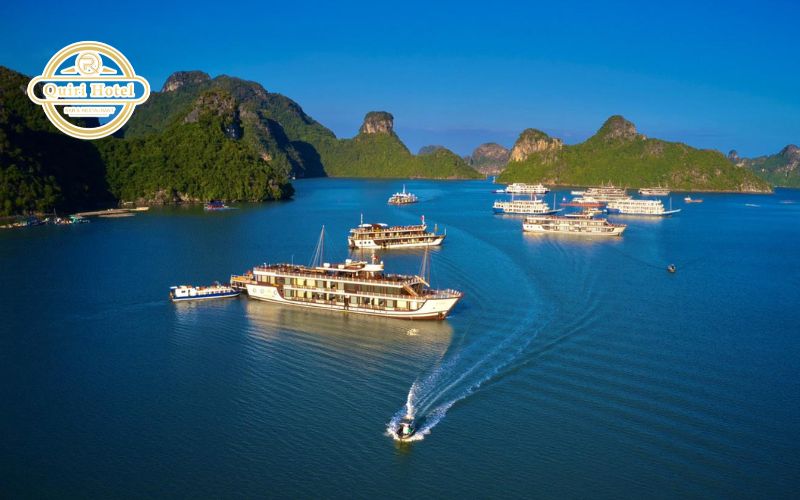 What Visitors Do Differently on Cat Ba Island in January