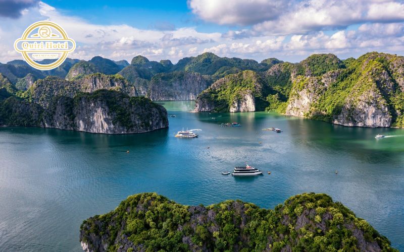 Best Things to Do in Cat Ba During Tet