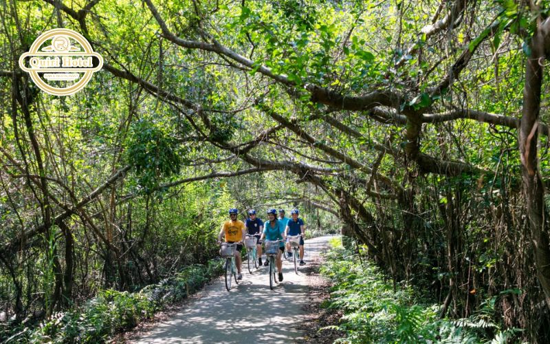 cycling in Viet Hai village