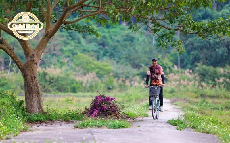 Tips for Planning Cycling in Viet Hai Village