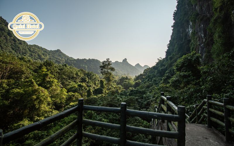 Travel Tips for Visiting Cat Ba in Spring