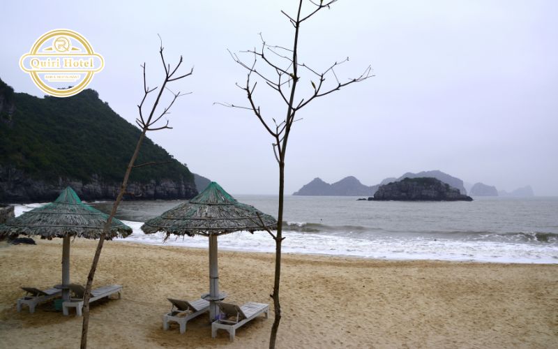 Cheap Hotel Near Beach