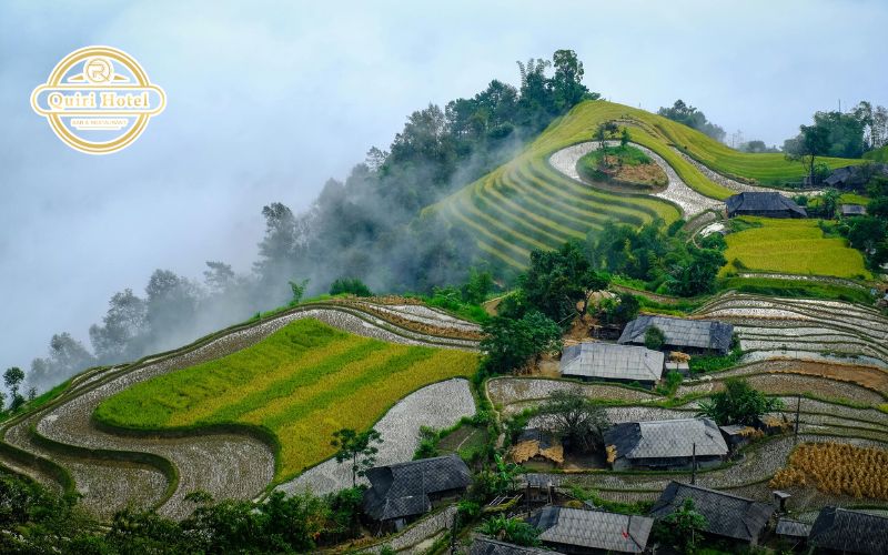 Tips for Choosing the Best Ha Giang Tour