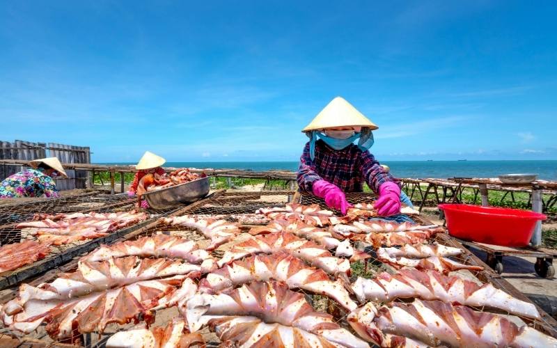 Chợ hải sản tươi sống Cát Bà